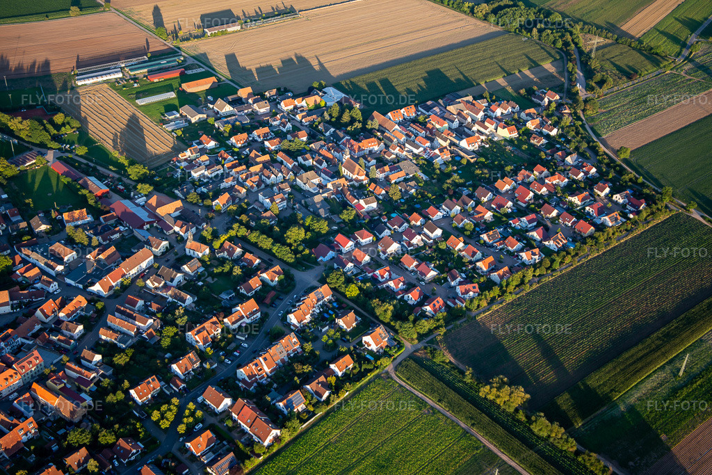 Luftbild: Unteres Rappenfeld im Ortsteil Mörlheim in Landau im Bundesland Rheinland-Pfalz in Deutschland. Foto: IMG_137659.jpg vom 10.08.2023 durch Werner Riehm/FLY-FOTO.de
