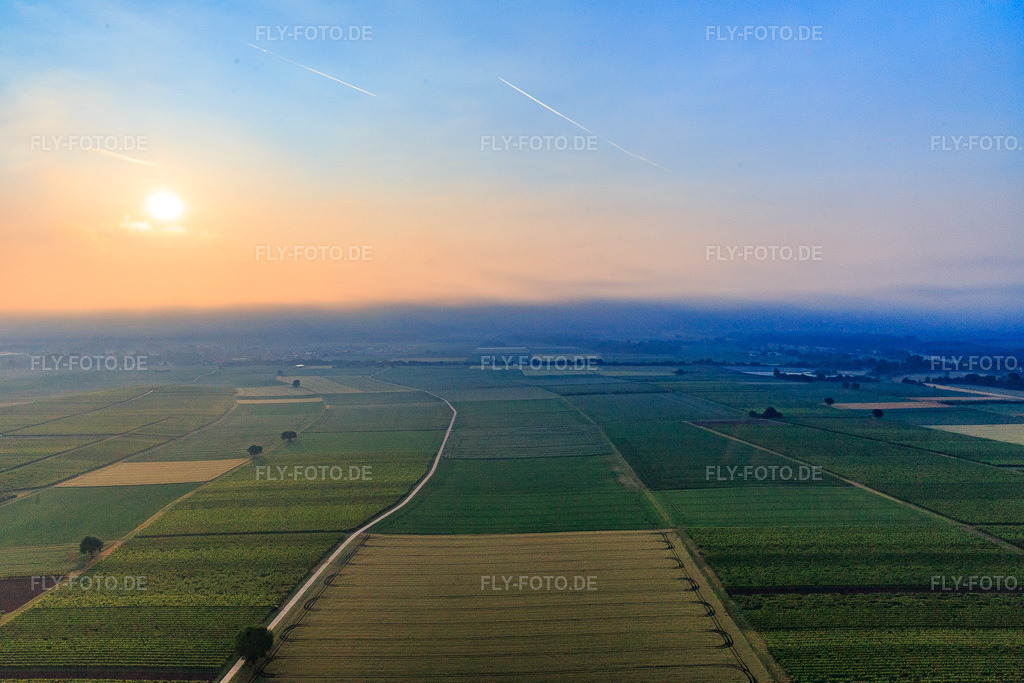 Luftbild: Horbachniederung im Morgennebel im Ortsteil Ingenheim in Billigheim-Ingenheim im Bundesland Rheinland-Pfalz in Deutschland. Foto: IMG_107796.jpg vom 10.06.2018 durch Werner Riehm/FLY-FOTO.de