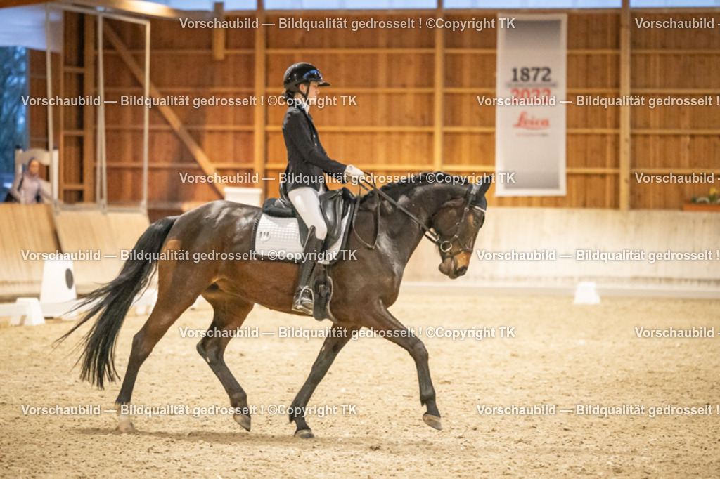 _D5A7570 | Emotionale Pferde- & People-Fotografie rund um Heidelberg, Leimen & Umgebung. Natürliche Fotos von Pferd, Mensch & Familie. Jetzt Termin sichern!