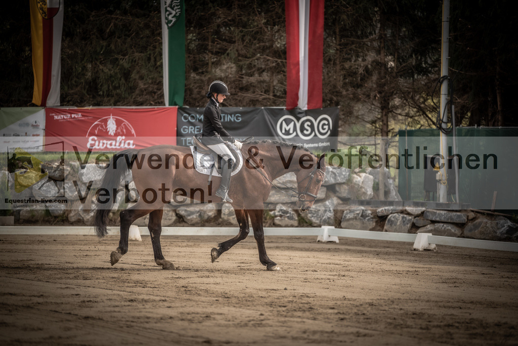 DSC_8287 | equestrian-live-com
