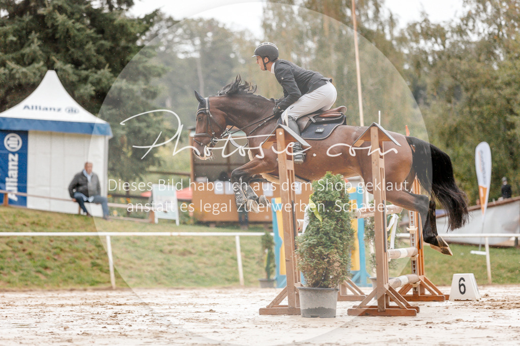 3I6A5705 | Stimmungsvolle Portraits und Reitsportfotografie im Ruhrgebiet und im Münsterland.

Pferdefotografie, Hundefotografie, Tierfotografie, Reportagen, Portraits von Tier und Mensch, Turnierfotografie in Bochum, Recklinghausen, Marl, Haltern am See, Dülmen.. - Realisiert mit Pictrs.com