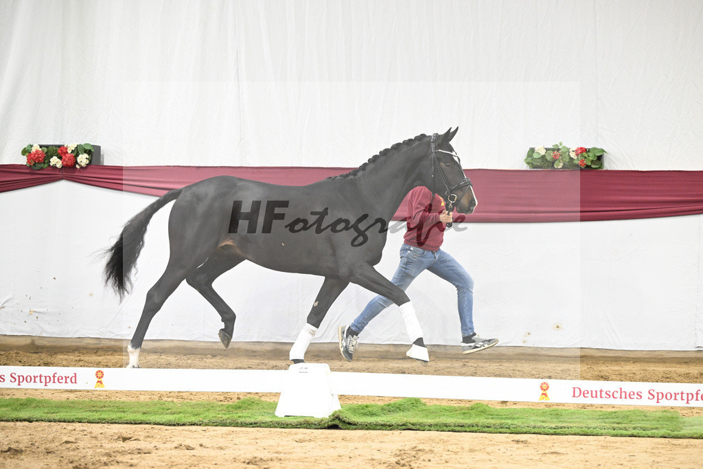 Kat-Nr. 18 Escaneno x Fuerstenball_Stefan Holtwiesche_47250471 | hf-fotografie - Realisiert mit Pictrs.com