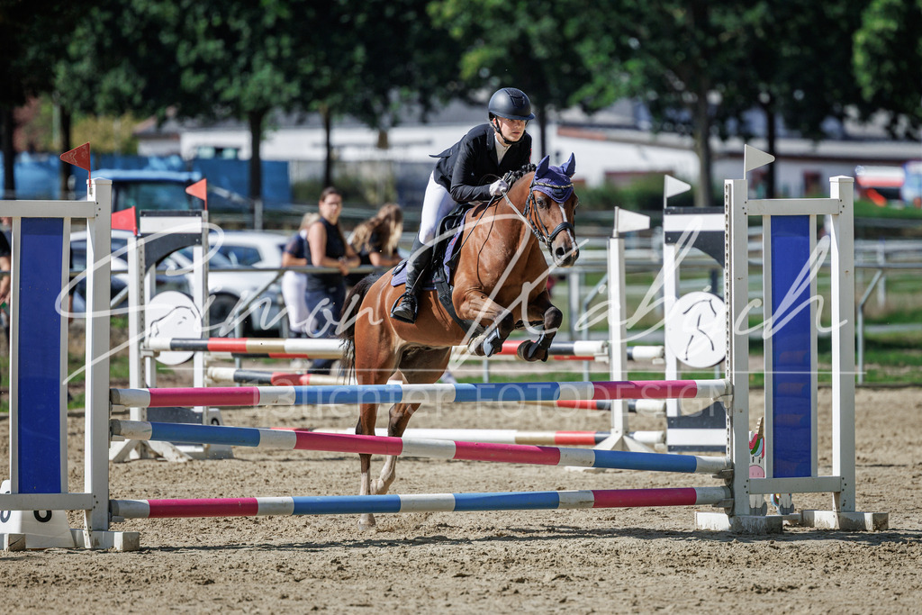 20260905-_3LI9266 | Tierfotografie Pferde, Hunde, Katzen, Haustiere.
Turnierfotografie Reitturniere, Reiten, Springreiten, Dressur in Hanau, dem Main-Kinzig-Kreis und dem Rhein-Main- Gebiet um Frankfurt