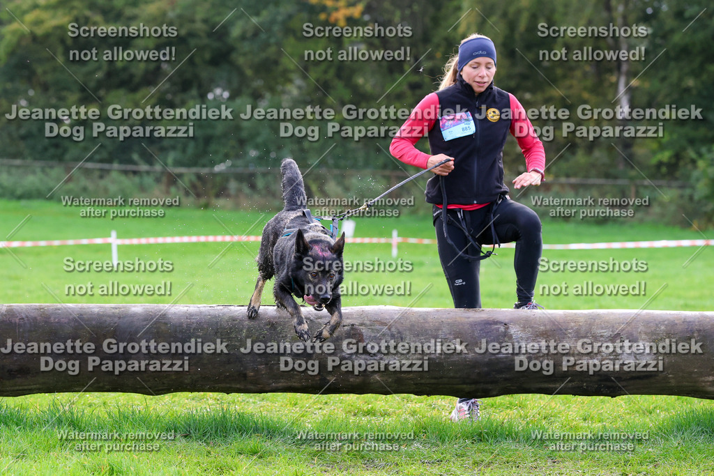 Dog Paparazzi -  SD1026-2224 | Dog Paparazzi Jeanette Grottendiek Fotografie & Videografie - Realisiert mit Pictrs.com