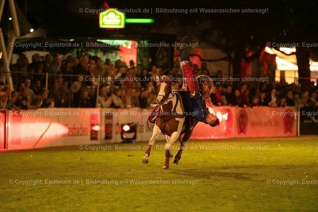 20230526_Pferdenacht_1228 | equistock