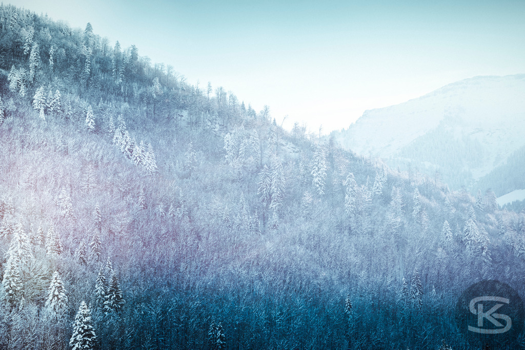 Nebliger Winterwald: Bewaldete Berghänge in Blau und Weiß | Eine verschneite Winterlandschaft, die sanft abfallende Berghänge zeigt, die vollständig von einem dichten Nadelwald bedeckt sind. Der untere Teil des Bildes ist in tiefes Blau und Türkis getaucht, während die oberen Bereiche in ein helles, dunstiges Pastellblau übergehen, was eine kühle und ätherische Atmosphäre schafft. - Realisiert mit Pictrs.com