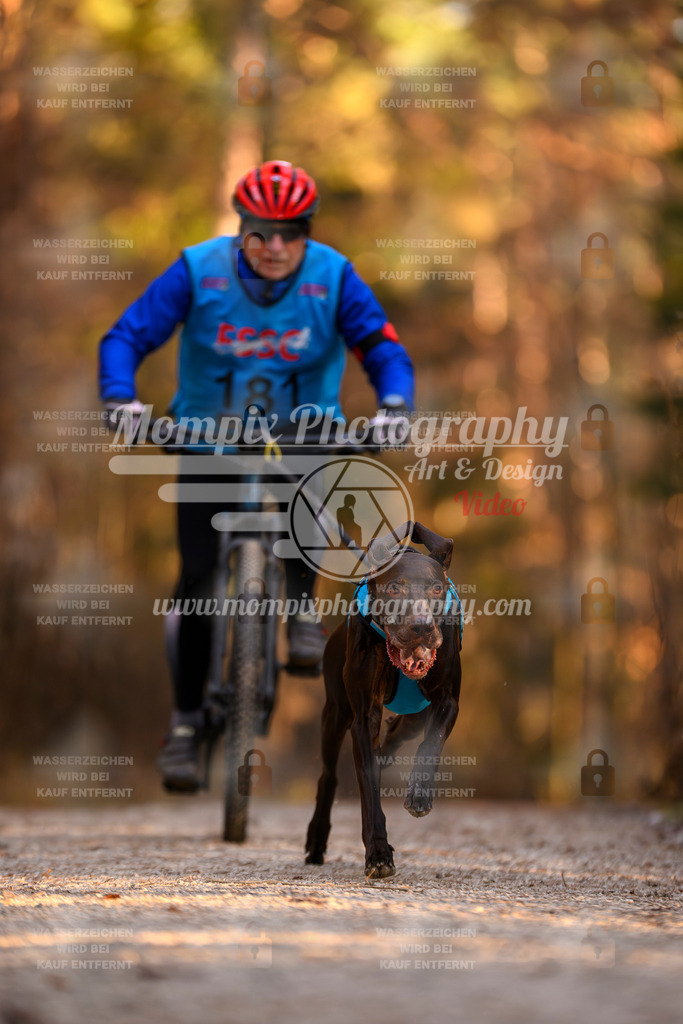 MompixPhotography_DM_AKDM_SO_2025_Bike-122 | PayLife