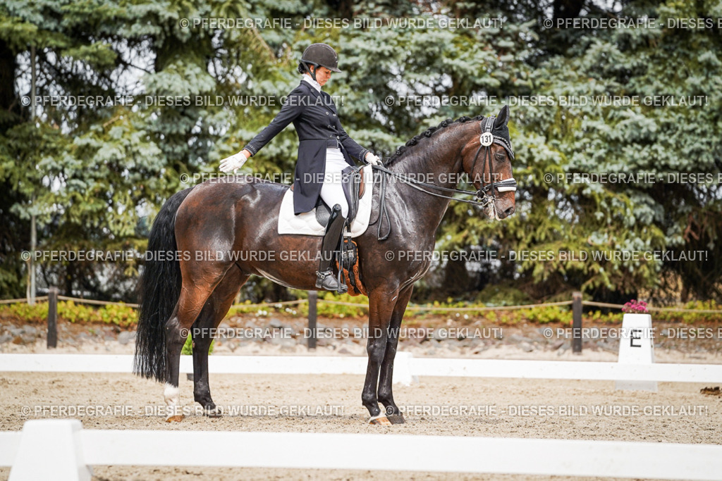 DSC06723 | Pferdegrafie