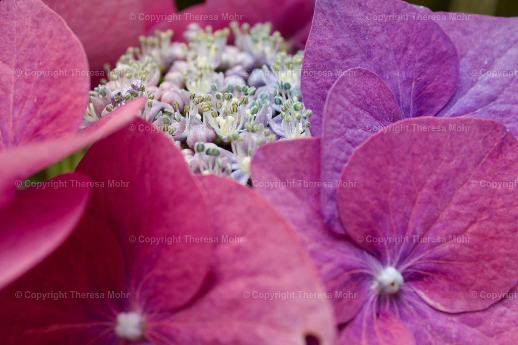 IMG_5602 | Naturpuls - Realisiert mit Pictrs.com