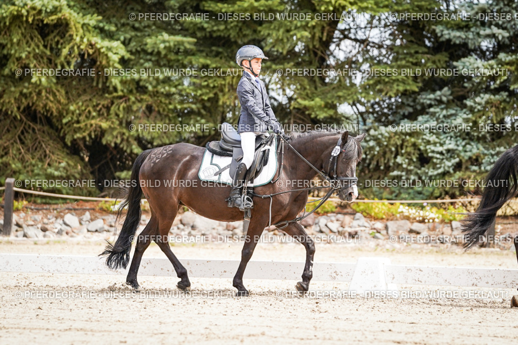 DSC02732 | Pferdegrafie