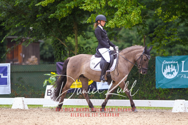 DKP42247 | Turniersportfotografie; Pferdefotografie; Dressurfotografie