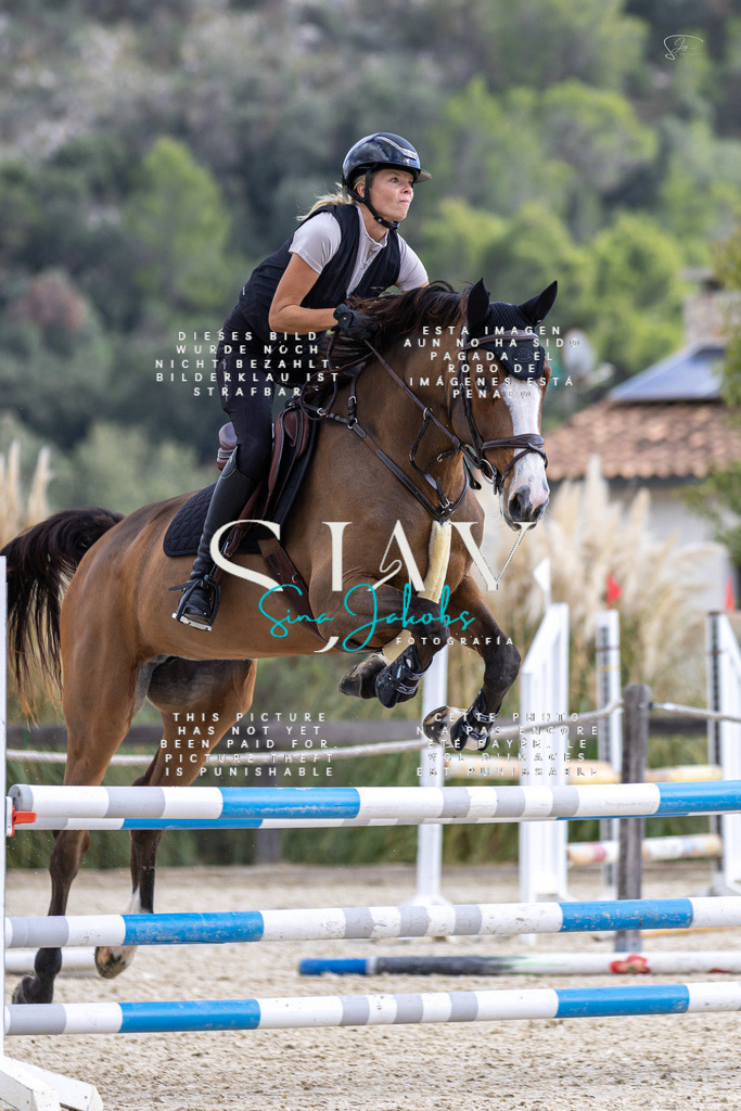 IMG_2874 | s-jay-photography - Realisiert mit Pictrs.com