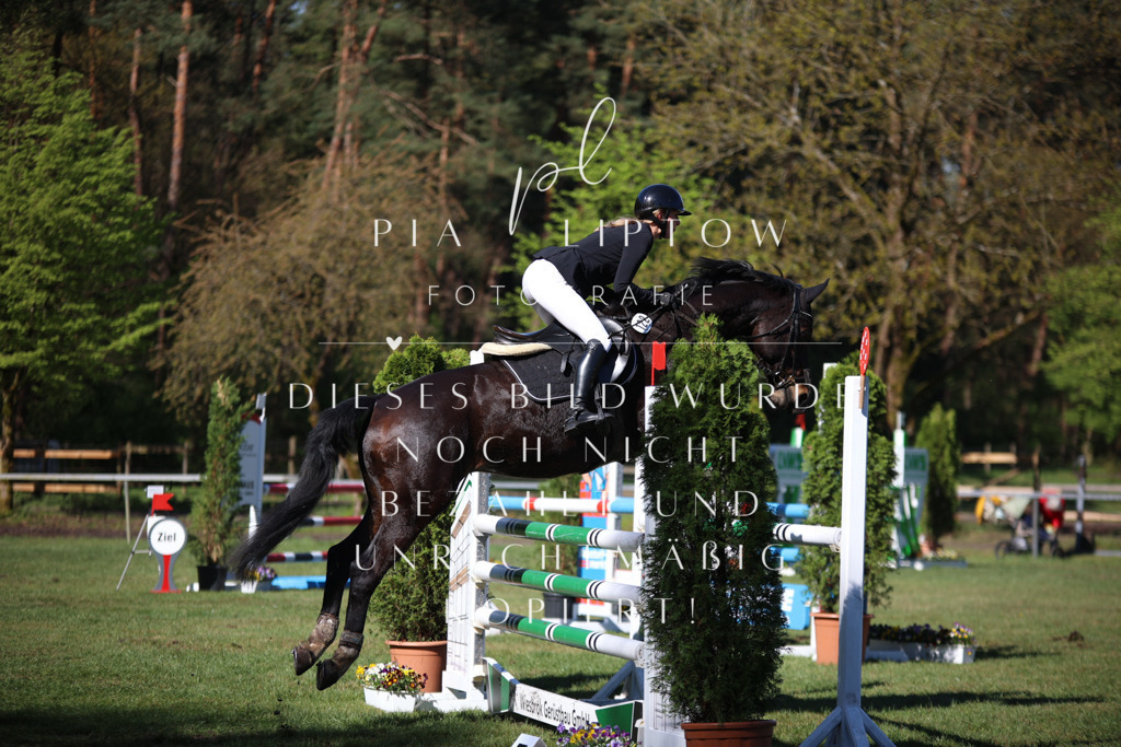 IMGT0371 | pl-fotografie