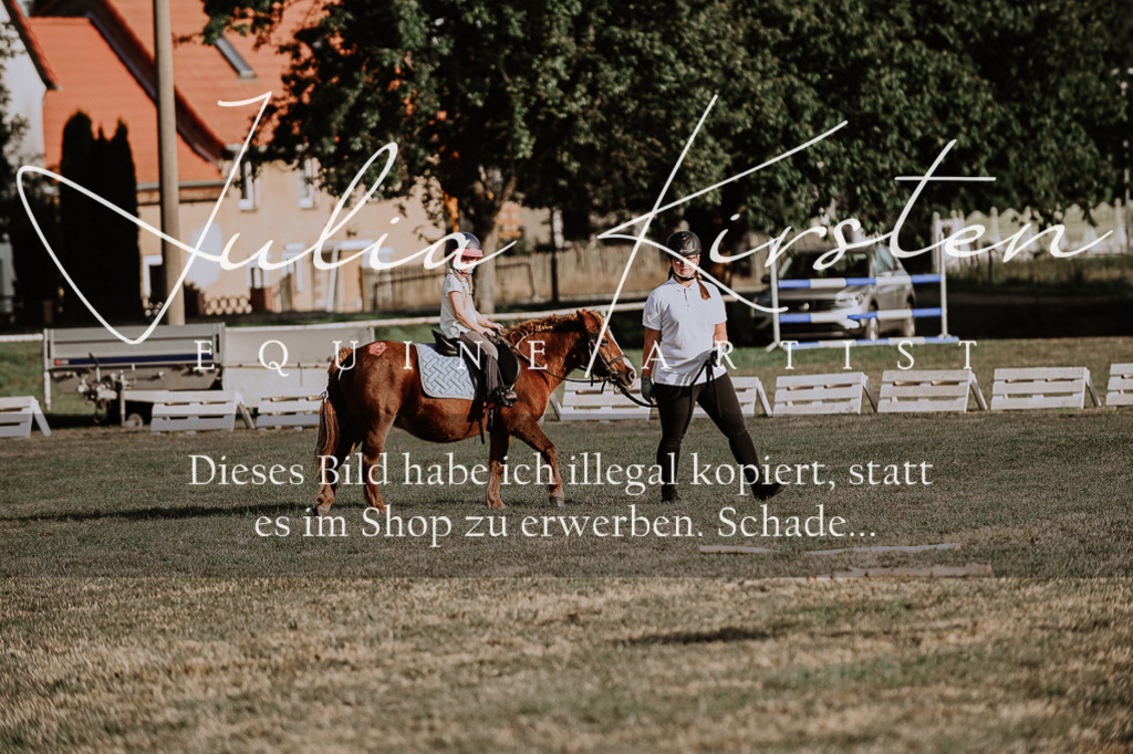 DSC_0154 | Pferde- und Turnierfotografie in Westsachsen. Pferdeportraits, Auftragszeichnungen und intuitive Kunst.