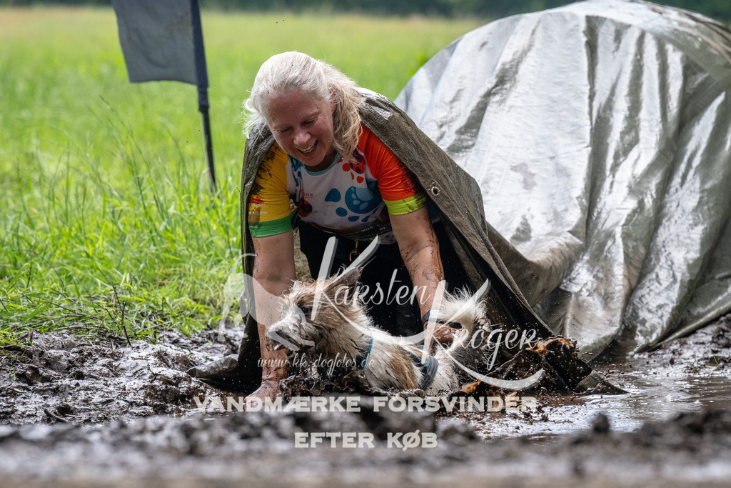 1116_ZZ92276 | kk-dogfotos