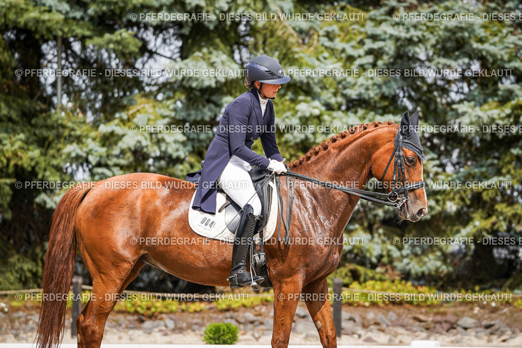 DSC06389 | Pferdegrafie