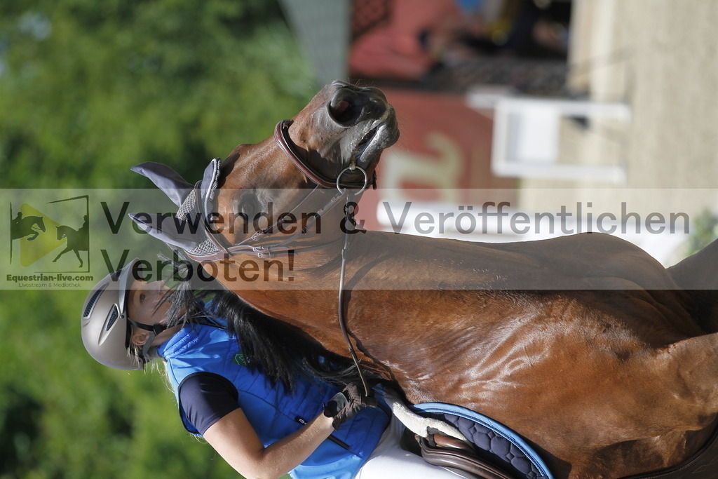 _MG_5167 | equestrian-live-com