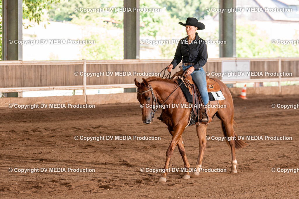 Erbach Tag 2-794 | dv-media-shop - Realisiert mit Pictrs.com