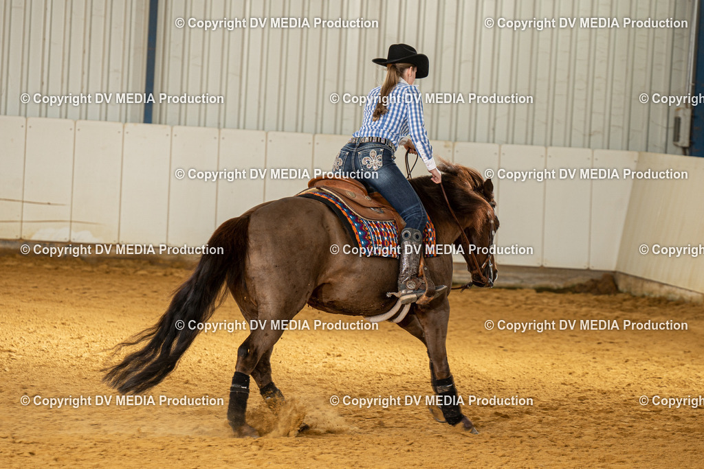 MIT00270 | dv-media-shop - Realisiert mit Pictrs.com