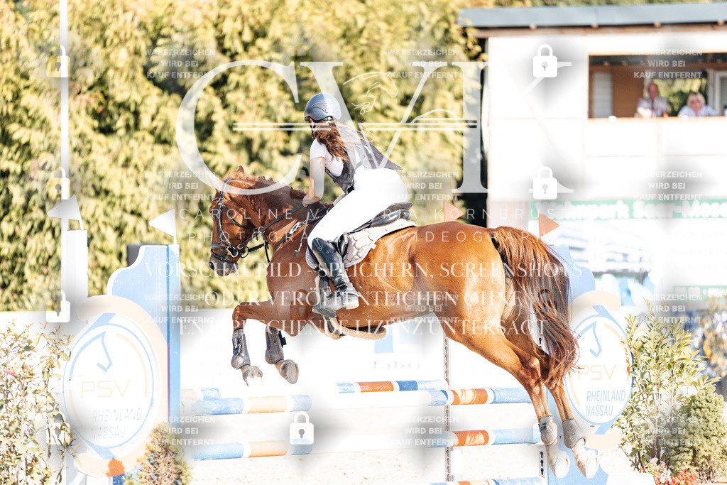 CK909602 | Turnierfotografie Pferdefotografie Trier Rheinland-Pfalz Pferdesport Reitsport Tierfotografie Sportfotografie Pferdevideo Pferdevideografie Equestrianvideography equestrianphotography  - Realisiert mit Pictrs.com