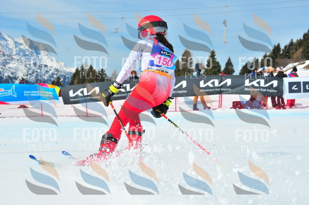 DSC_5084 | holidayphoto