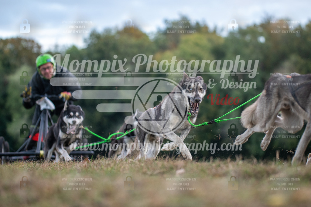 CDLBDB_15_10_2023_Dimanche-31 | PayLife