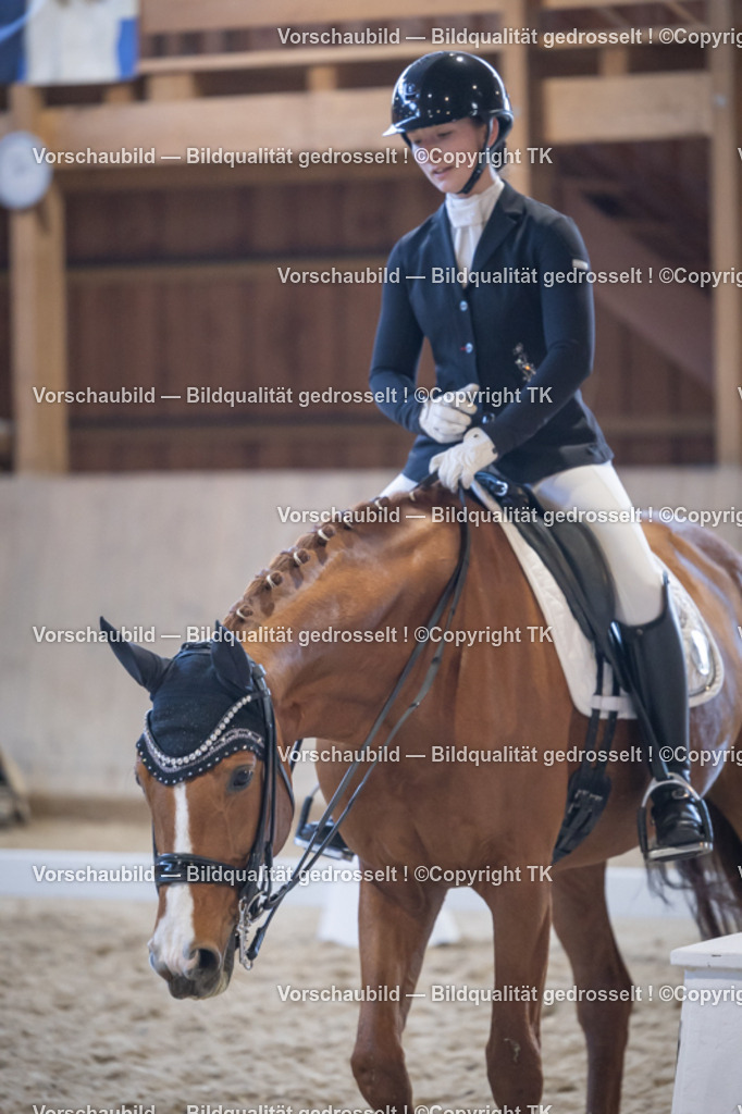 _D5A4927 | Emotionale Pferde- & People-Fotografie rund um Heidelberg, Leimen & Umgebung. Natürliche Fotos von Pferd, Mensch & Familie. Jetzt Termin sichern!