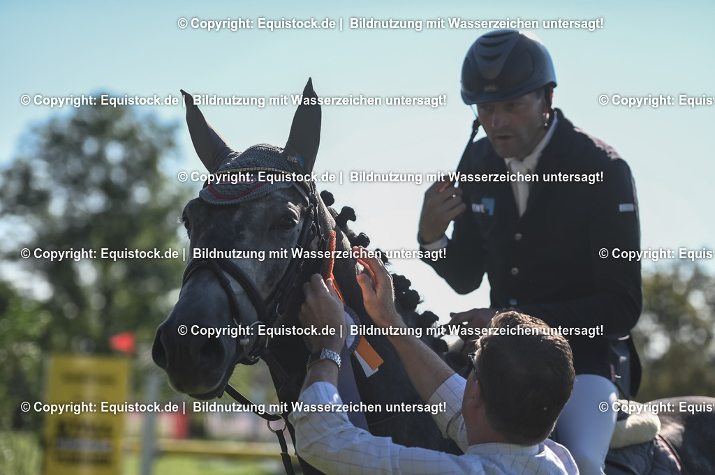 20230908_14-15_Springpferde-A_0125 | equistock