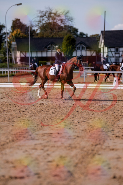 2026_10_03_Siefer-Hof_123437_Z81_32495390 | Professionelle Reitsport-, Turnier- und Eventfotografie von Robert Broda. Galerien mit ausgewählten und bearbeiteten Bildern direkt online ansehen und bestellen.