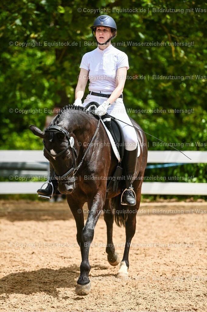 20230715_05_Dressurprüfung Kl.A++_0258 | equistock