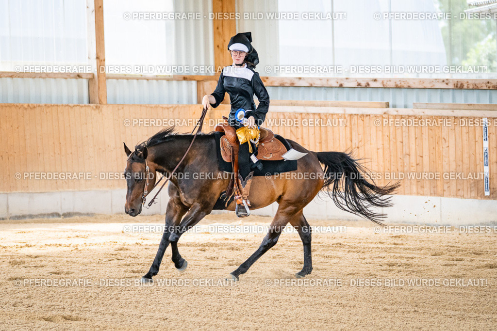 DSC04828 | Pferdegrafie