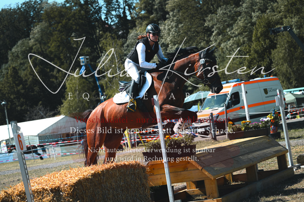 DSC_8296 | Pferde- und Turnierfotografie in Westsachsen. Pferdeportraits, Auftragszeichnungen und intuitive Kunst.