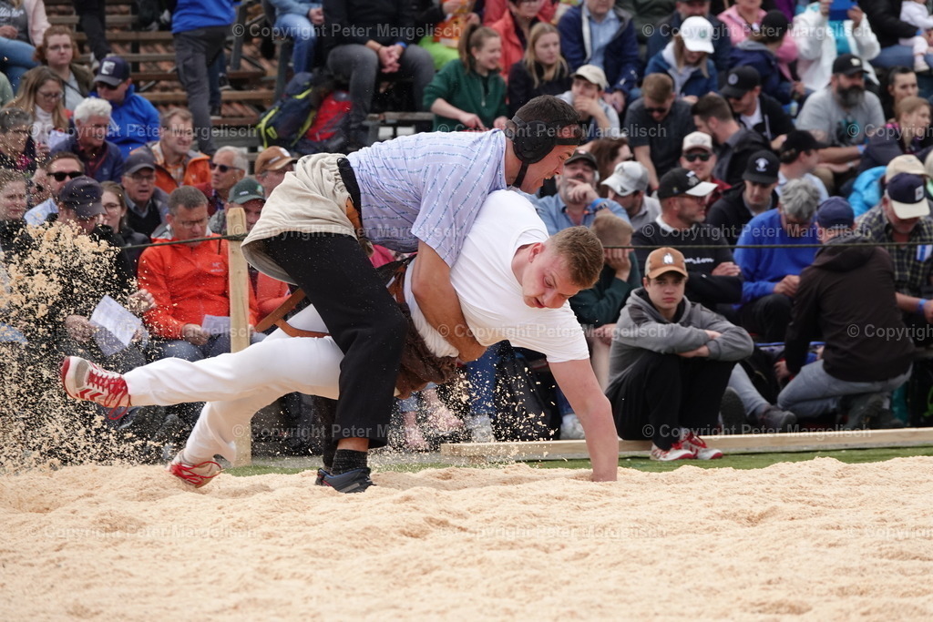DSC03615 | Schwingen - Realisiert mit Pictrs.com