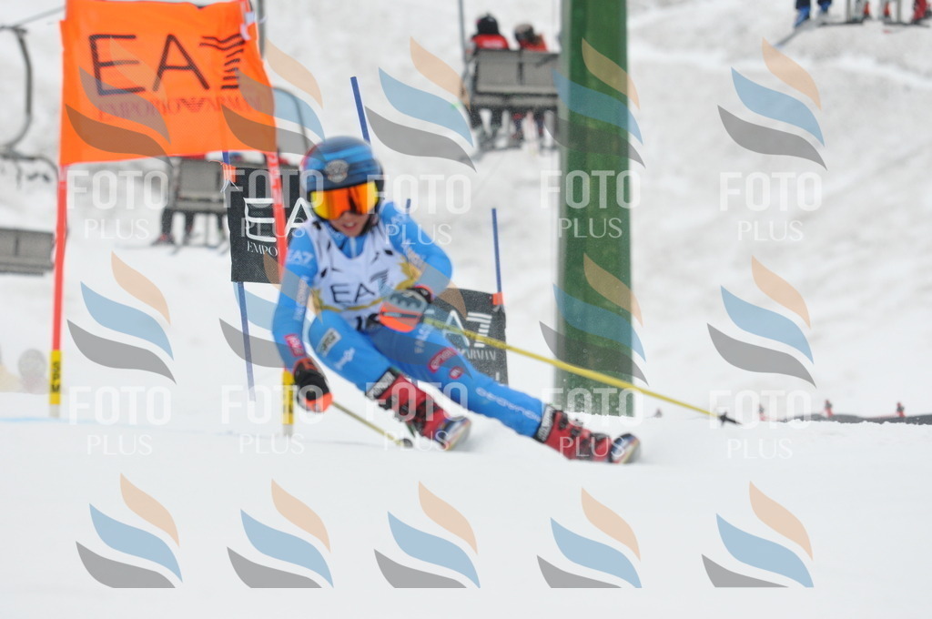 DSC_8952 | holidayphoto