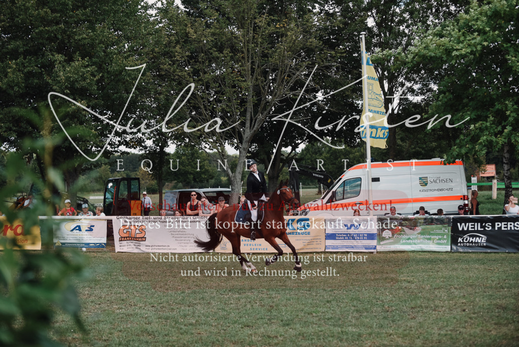 DSC_5833 | Pferde- und Turnierfotografie in Westsachsen. Pferdeportraits, Auftragszeichnungen und intuitive Kunst.