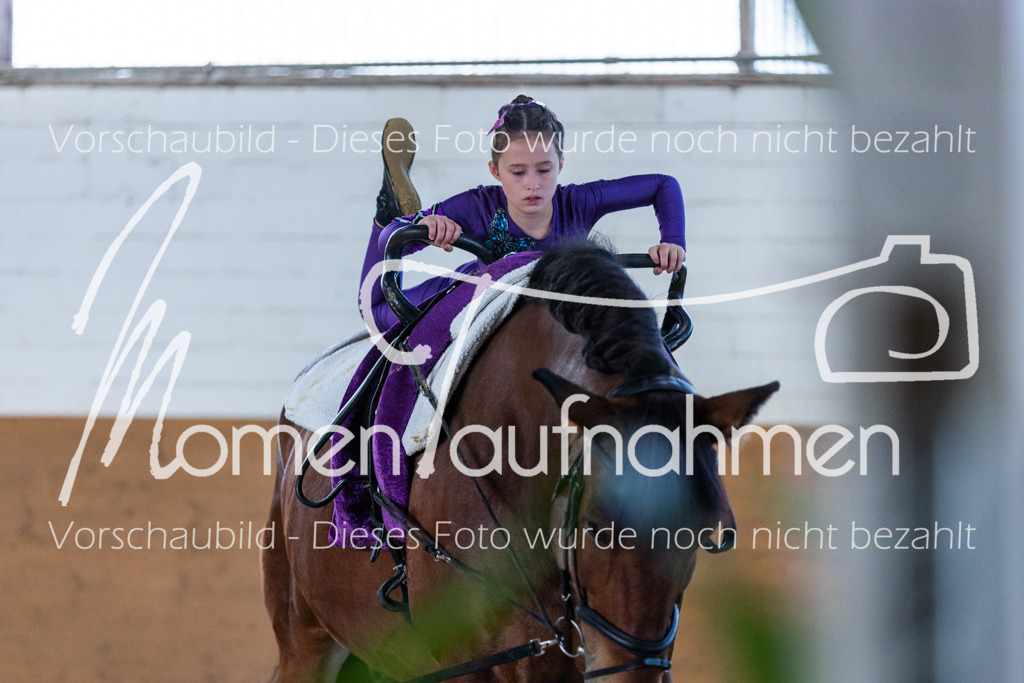 SS-Mini-250 | MomenTaufnahmen Pferdesportfotos