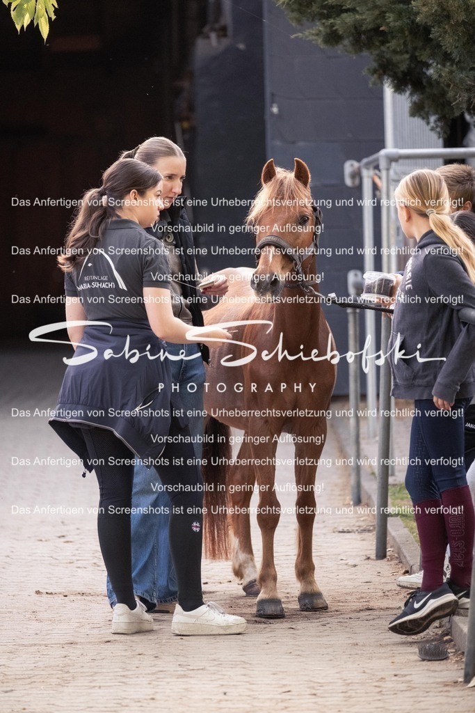 2025_05_31_DSCF2322 | People- und Tierfotografie, Imageaufnahmen, Veranstaltungsfotografie und Wandbilder aus der Natur ★ Made in Germany ✔️ Druck + Downloads ✔️ Naturfotografie in Top Qualität ★ schneller Versand, weltweite Lieferung! - Realisiert mit Pictrs.com