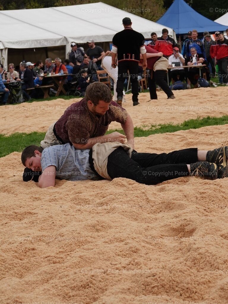 k-DSC06195 | Schwingen - Realisiert mit Pictrs.com