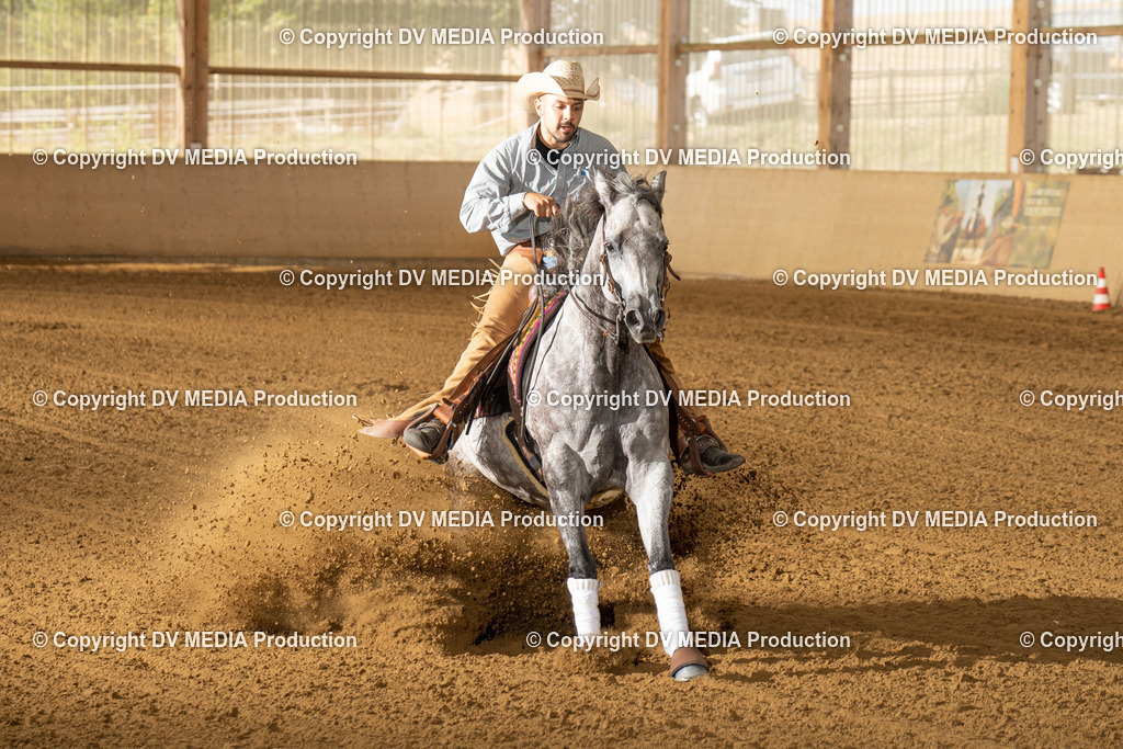 LAU01582 | dv-media-shop - Realisiert mit Pictrs.com