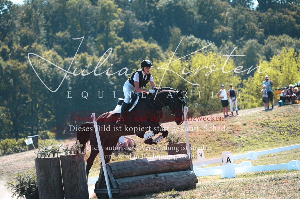 DSC_8358 | Pferde- und Turnierfotografie in Westsachsen. Pferdeportraits, Auftragszeichnungen und intuitive Kunst.