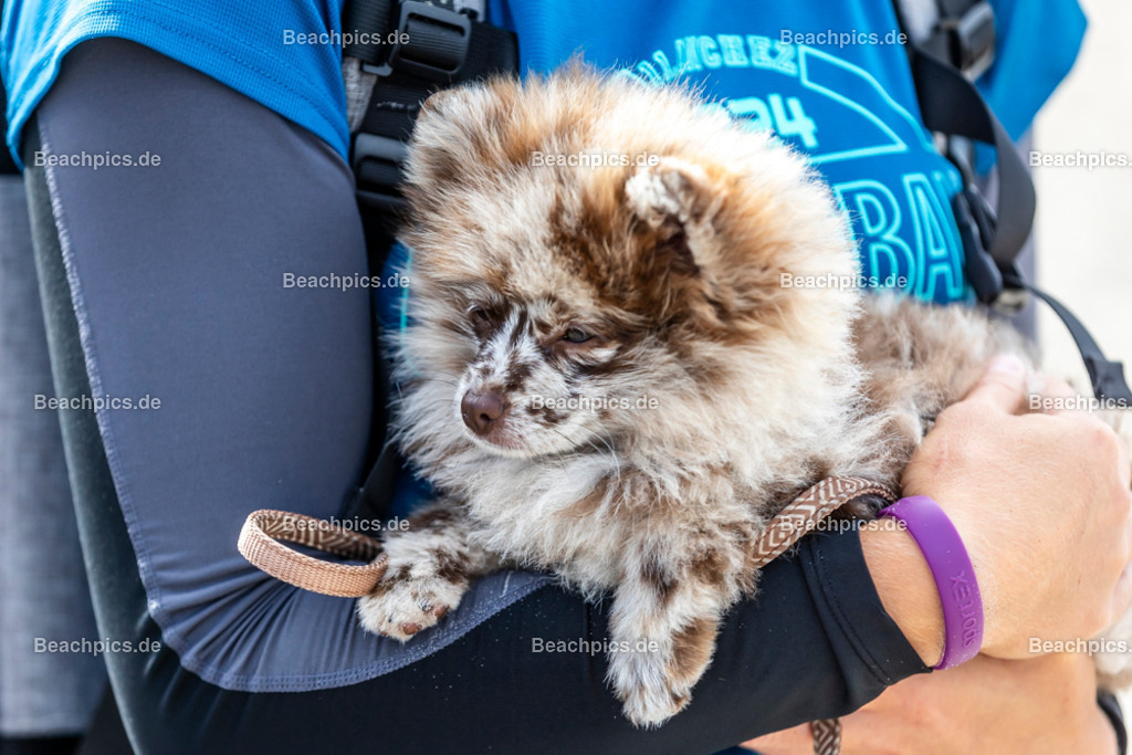 2024-00102012-Beachcup-Binz |  15.06.2024; Ostseebad Binz Foto: Gerold Rebsch - www.beachpics.de