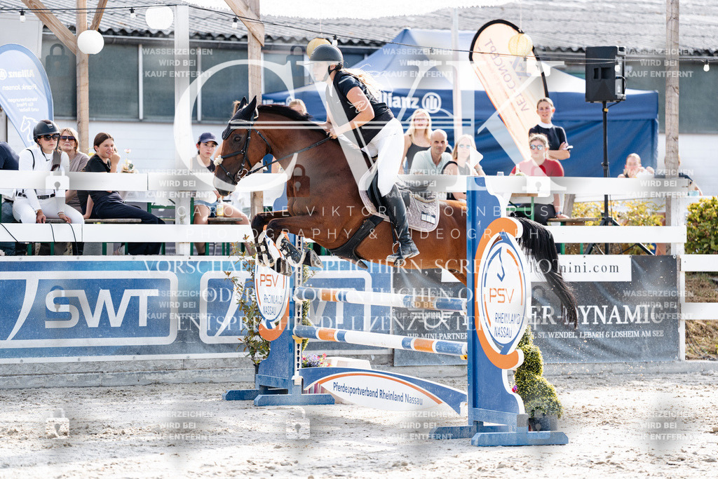 CK906104 | Turnierfotografie Pferdefotografie Trier Rheinland-Pfalz Pferdesport Reitsport Tierfotografie Sportfotografie Pferdevideo Pferdevideografie Equestrianvideography equestrianphotography  - Realisiert mit Pictrs.com