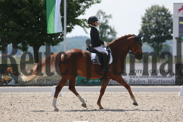 Rot am See_2024_Prfg.Nr.21_Qual.BCH_und_LCH_5-jähr.Ponys_Mary-Ann Hollenbach_Dein Traum (1) | Alle Fotos der Reiterjournal Fotografin Doris Matthaes im Reiterjournal Online-Fotoshop. - Realisiert mit Pictrs.com