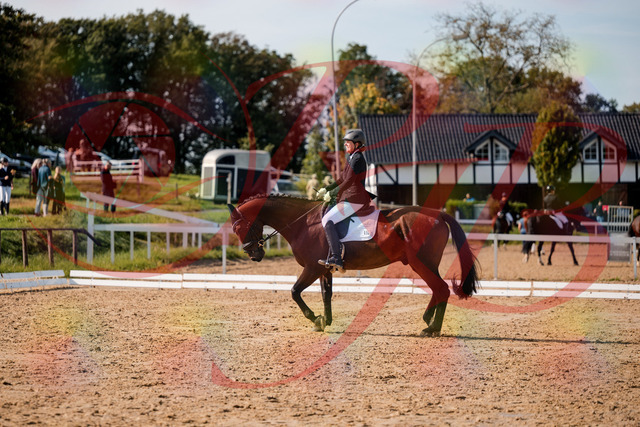 2026_10_03_Siefer-Hof_130320_Z63_65548754 | Professionelle Reitsport-, Turnier- und Eventfotografie von Robert Broda. Galerien mit ausgewählten und bearbeiteten Bildern direkt online ansehen und bestellen.