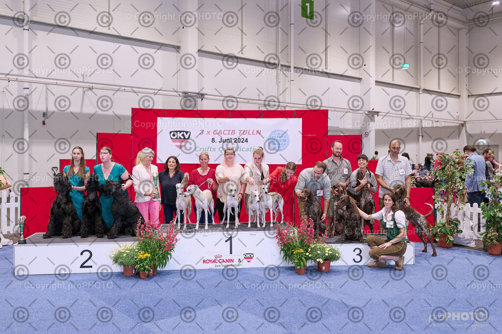 202406_ÖKV-IHA-Tulln24_NZ9_8636 | proPHOTO - Realisiert mit Pictrs.com