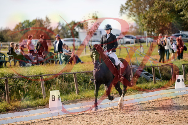 2026_10_03_Siefer-Hof_131718_Z63_79260182 | Professionelle Reitsport-, Turnier- und Eventfotografie von Robert Broda. Galerien mit ausgewählten und bearbeiteten Bildern direkt online ansehen und bestellen.
