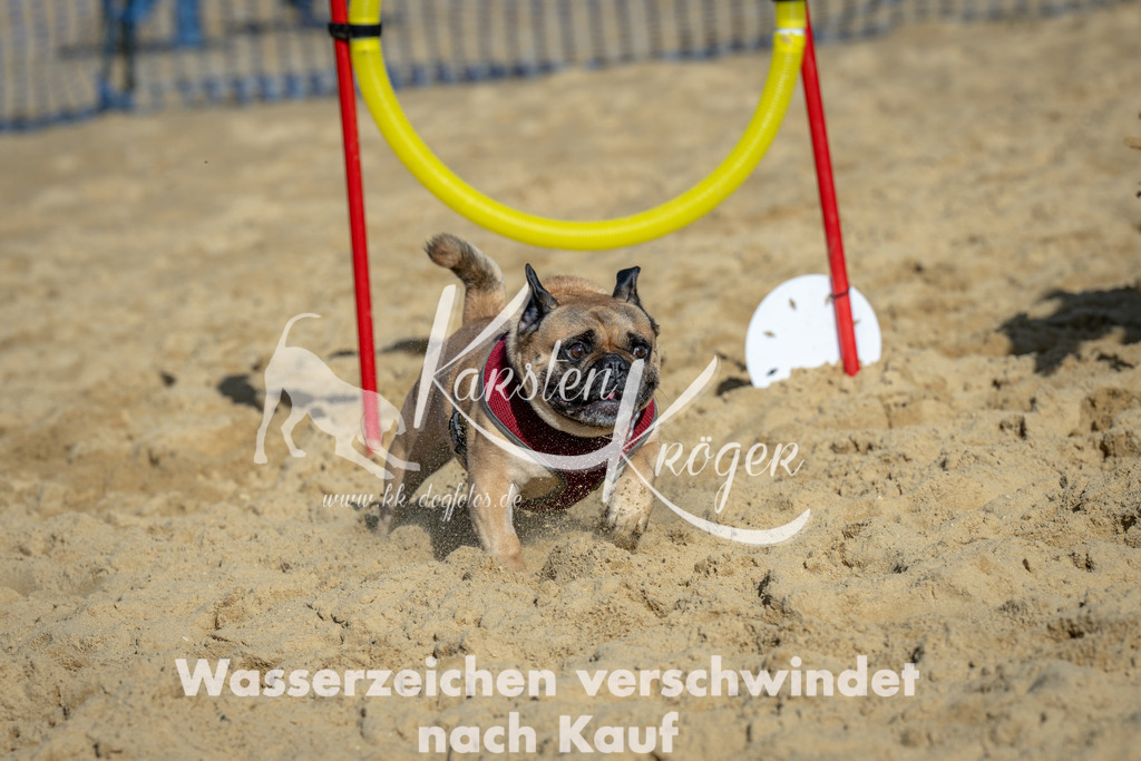 1115_ZZ90825 | kk-dogfotos