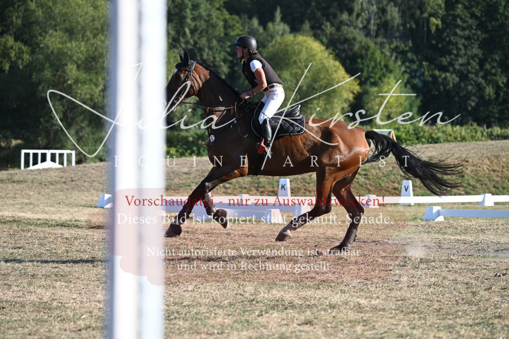 DSC_9032 | Pferde- und Turnierfotografie in Westsachsen. Pferdeportraits, Auftragszeichnungen und intuitive Kunst.