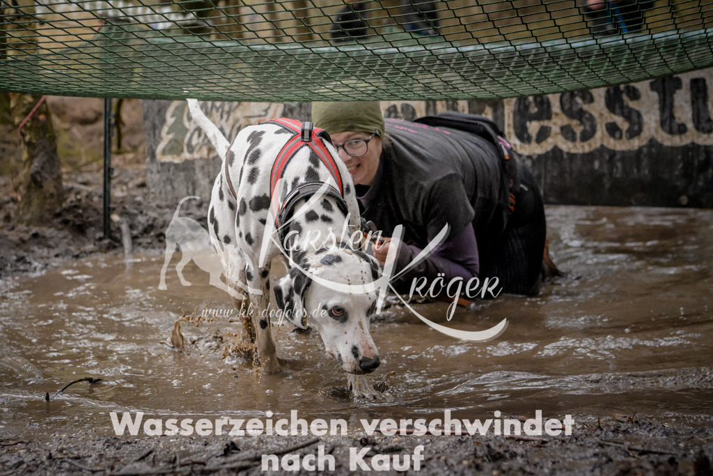 1019_ZZ90485 | kk-dogfotos
