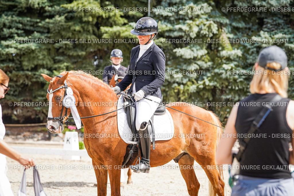 DSC02242 | Pferdegrafie